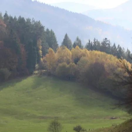 Schoene In Bontkirchen
